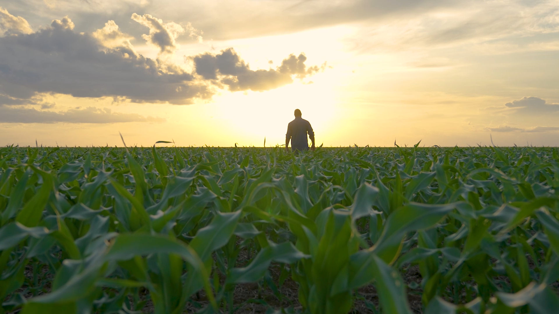 DIA DO AGRICULTOR – 2023