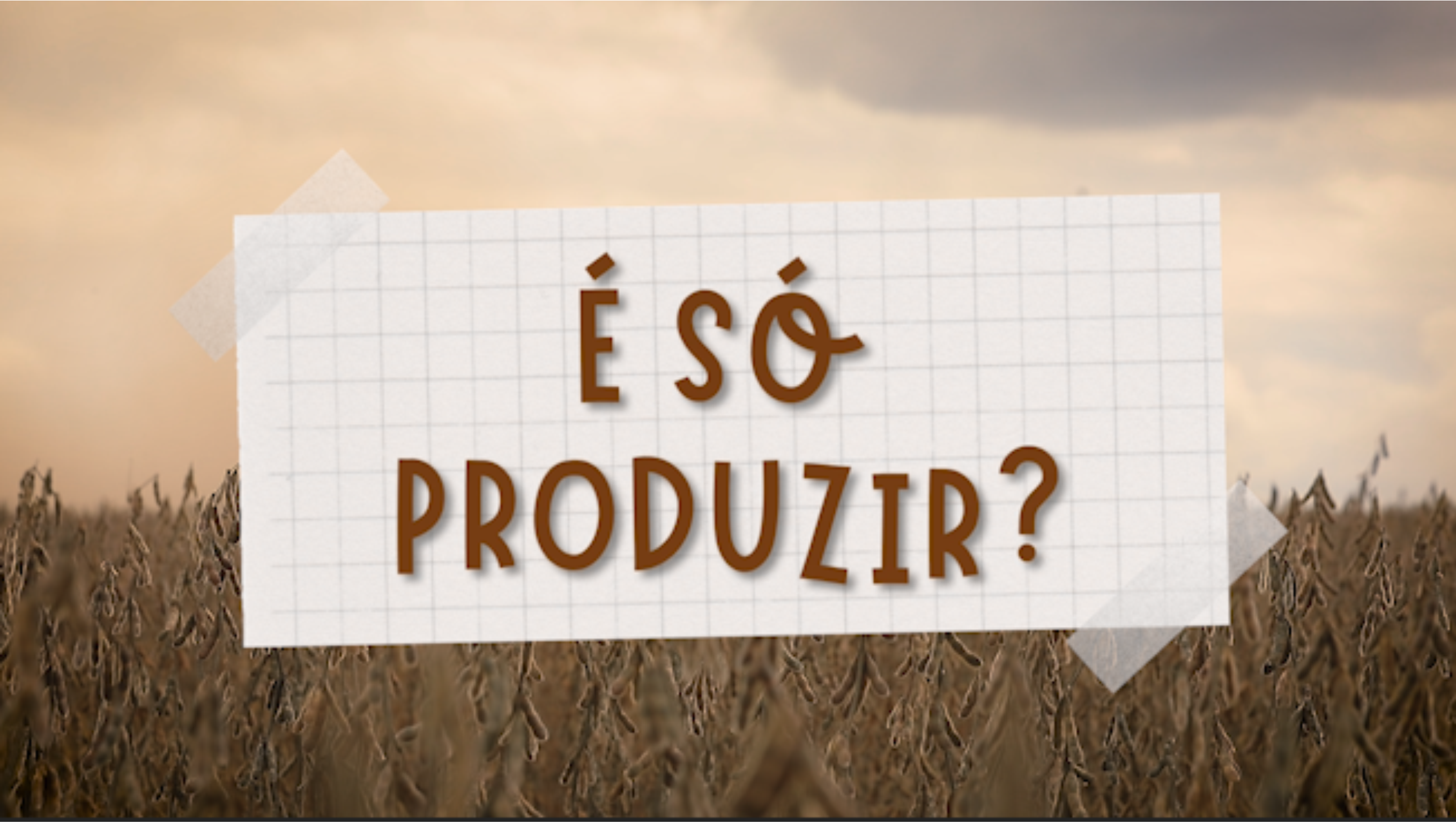 O nosso papel na agricultura – GEES S/A