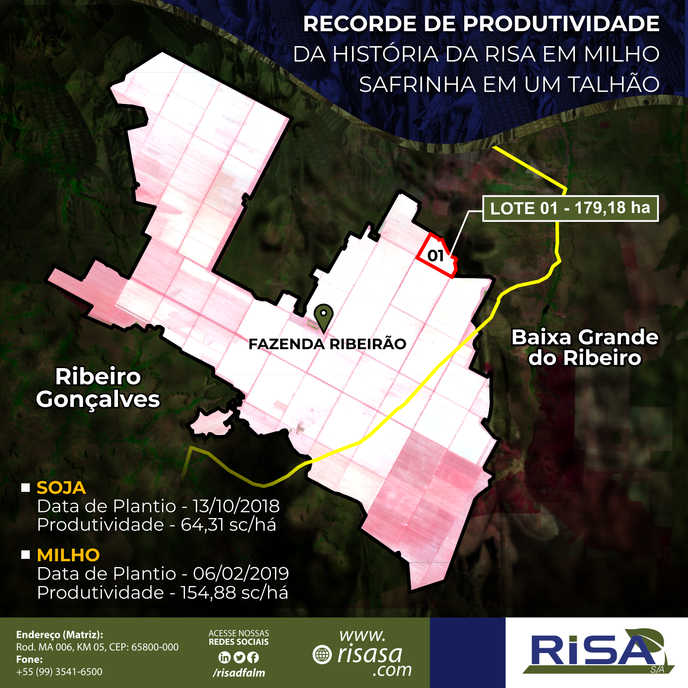 Recorde de Produtividade da história da Risa em Milho Safrinha em um talhão