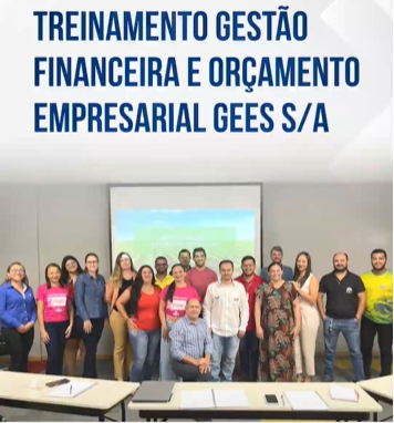 Treinamento Gestão Financeira – GEES S/A